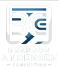 Brandon Andersen Consulting